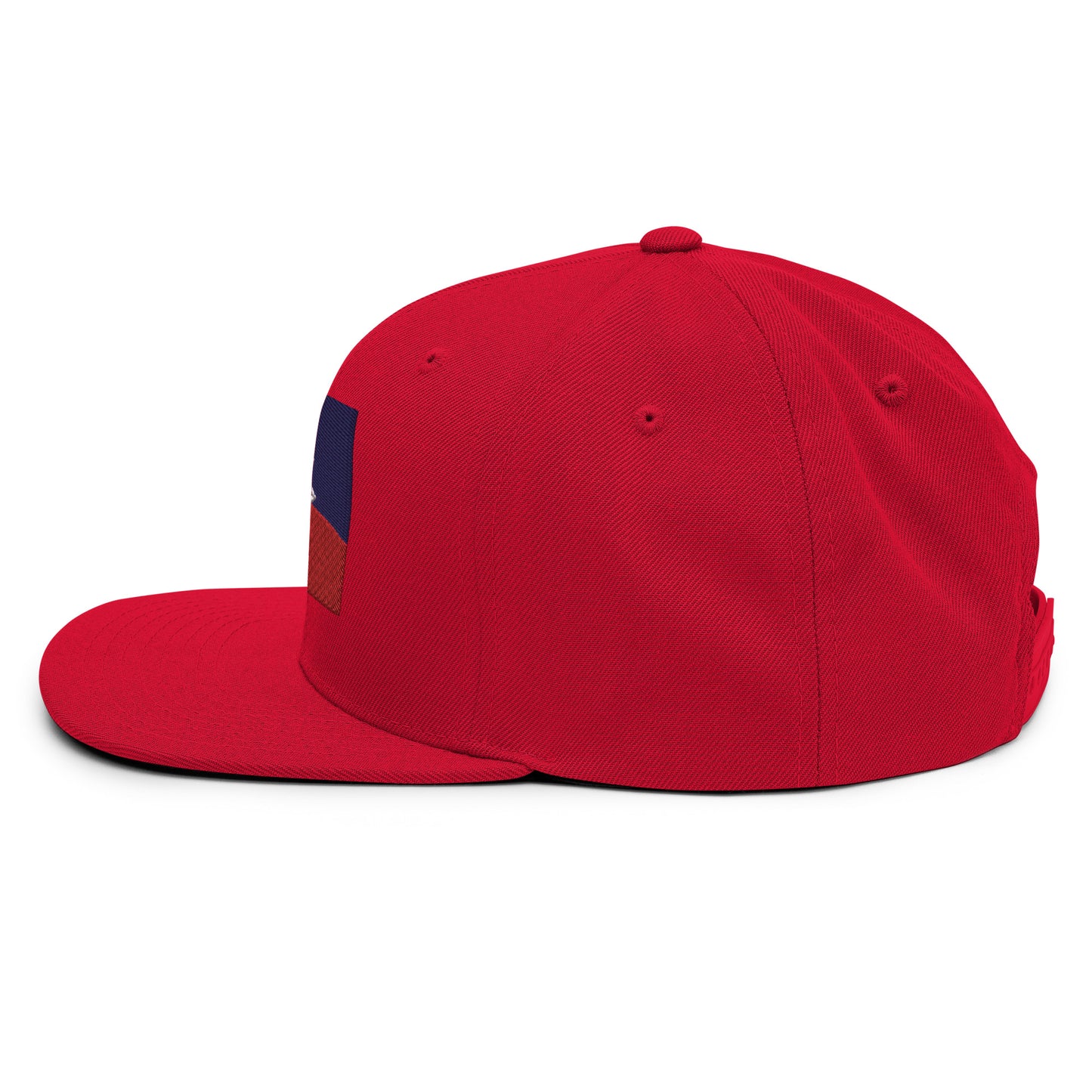 Juneteenth Flag Snapback Hat