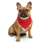 Juneteenth Flag Bandana