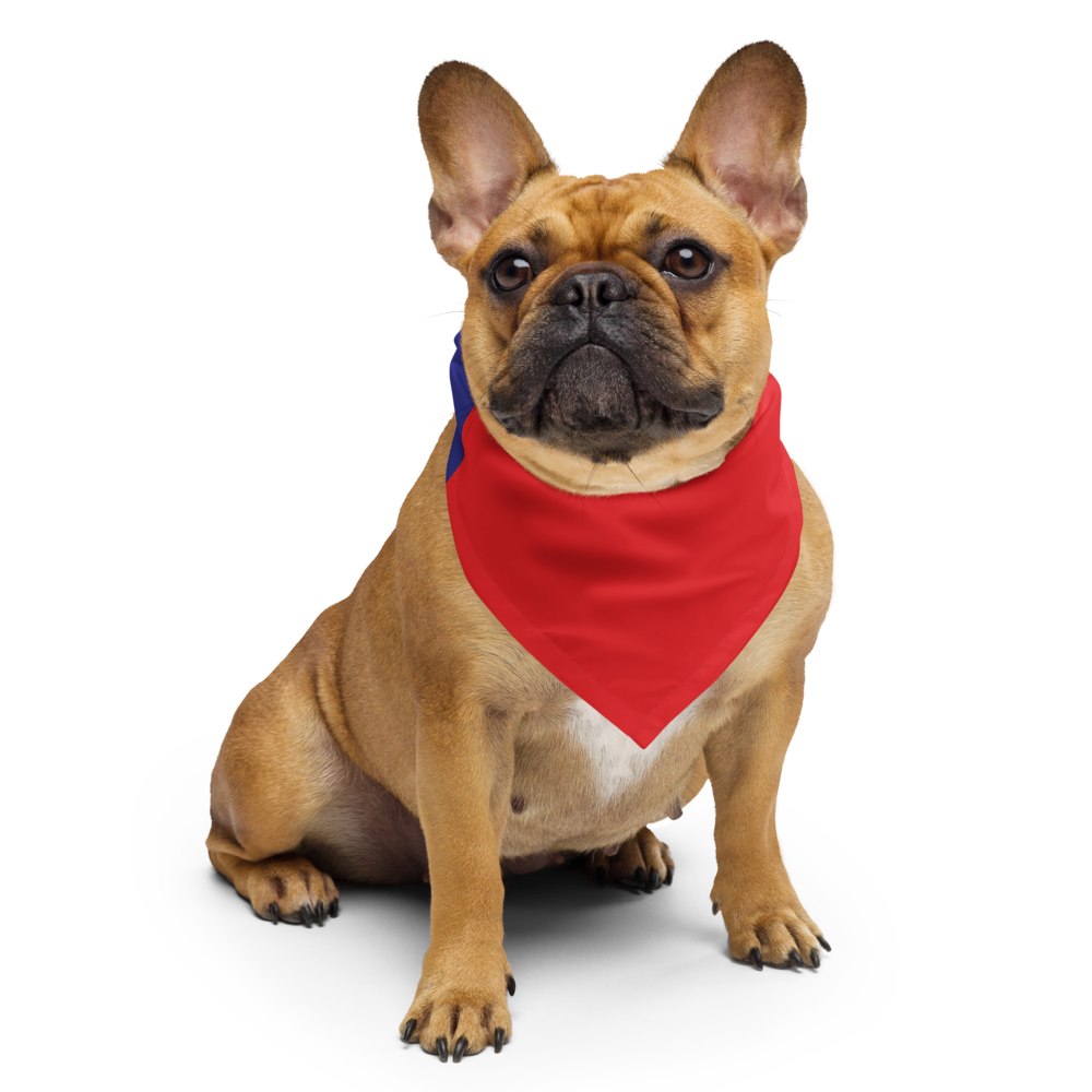 Juneteenth Flag Bandana