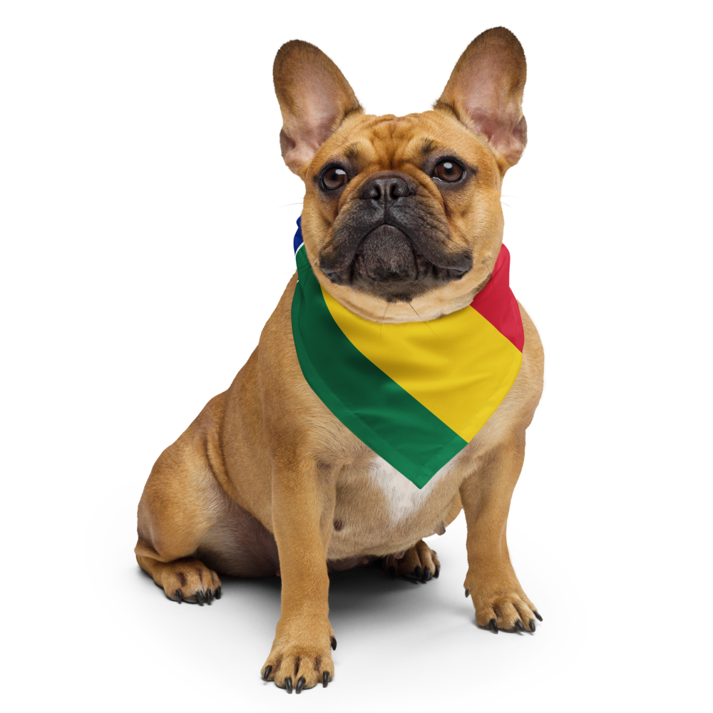 Louisiana Creole Flag Bandana