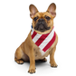 USA Flag Bandana