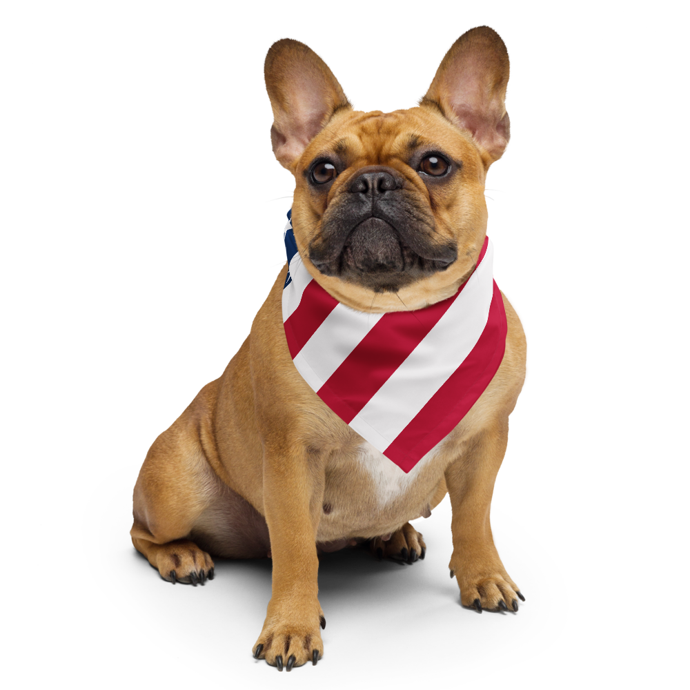 USA Flag Bandana