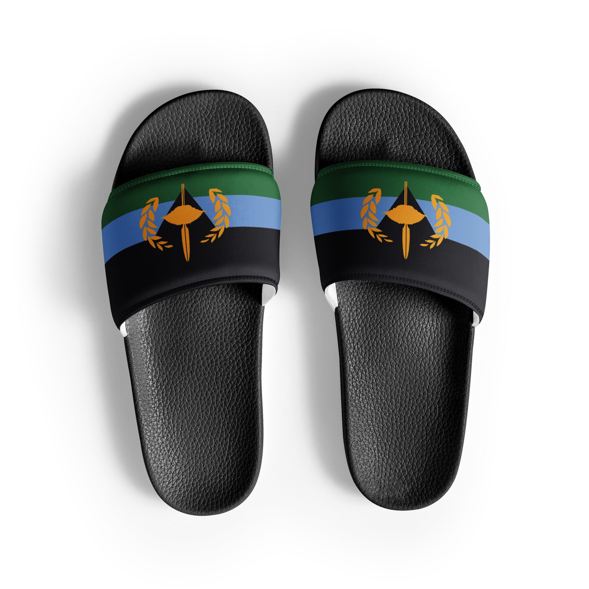 Gullah Geechee Flag Men’s Slides - All For One
